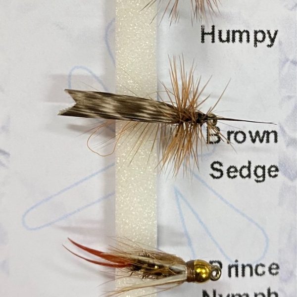 NYMPHS 4