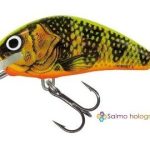 GFP/SINK/4CM