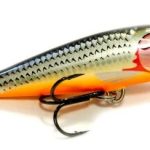 CD-07 SSH