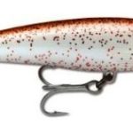 X-RAP 12 Brown Squid