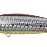SHL 495